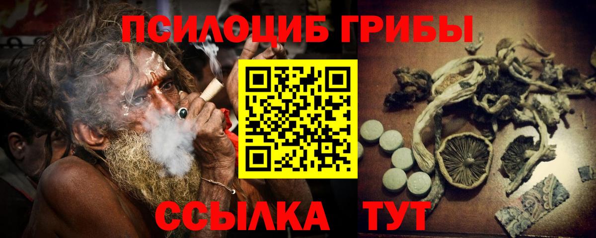 Псилоцибиновые грибы прущие грибы Новоалександровск