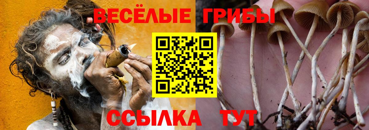Галлюциногенные грибы ЛСД  Вход с VPN  как найти   Новоалександровск 
